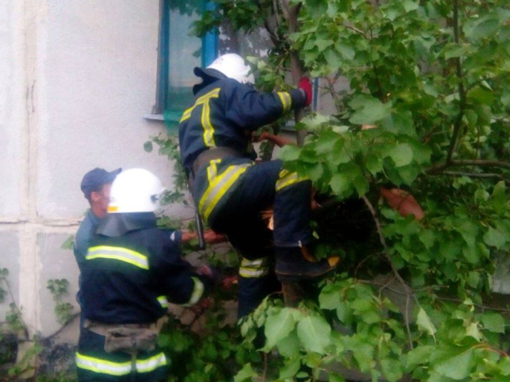 В Павлограде парень выпал с балкона и застрял на дереве