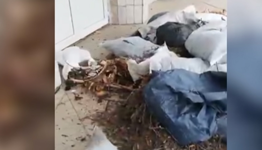 В Николаеве люди атаковали чиновников мусором. Видео