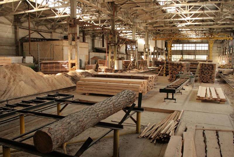В Ровно построят завод по обработке древесины