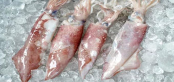 В Китае нашли COVID-19 на упаковке морепродуктов из России