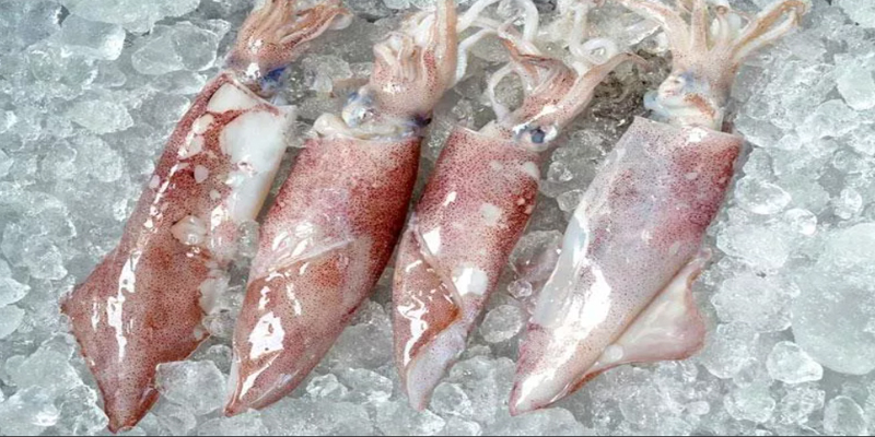 В Китае нашли COVID-19 на упаковке морепродуктов из России