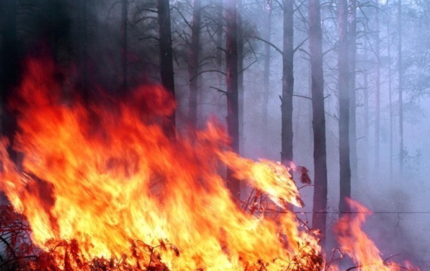 Новый пожар на Луганщине: огонь подступает к электроподстанции