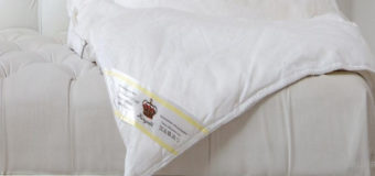 Сон под шелковым одеялом – залог бодрости и хорошего настроения